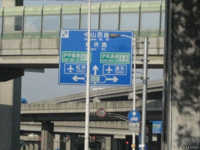 菜鳥第二次上路,龍柏到大觀園