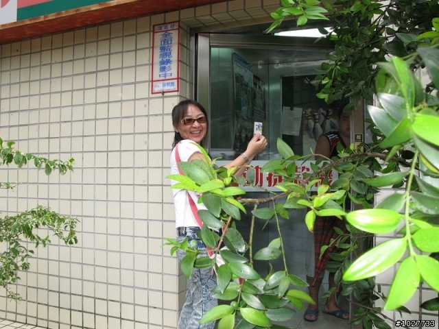 鳳凰號現身