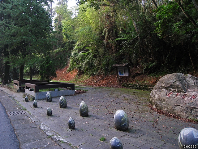 南投縣 魚池鄉 日月潭環湖