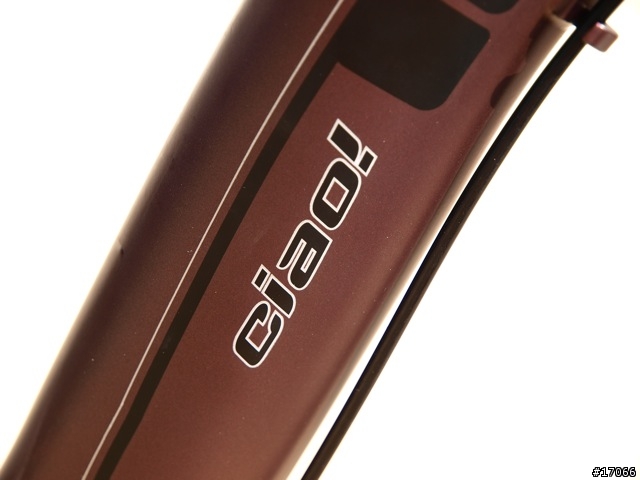 Dahon Speed TR及Ciao P8入手分享