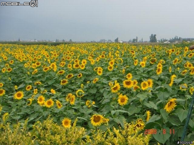 親子雲南七日遊