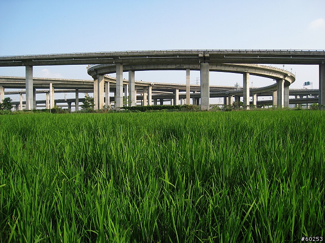 台中縣 清水鎮 五福圳自行車道