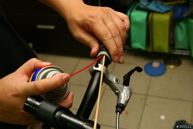 DAHON 自救會 之SP18完全圖解