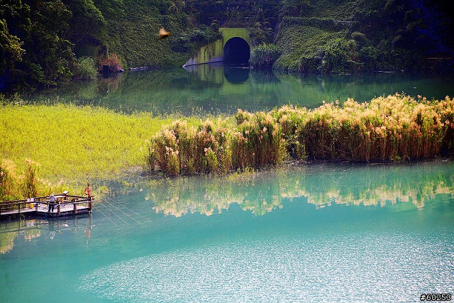 南投縣 魚池鄉 日月潭環湖