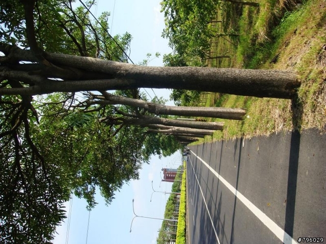 【環島遊記】DAY1 員林→路竹