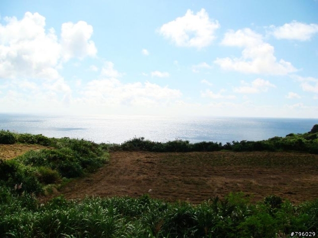 【環島遊記】DAY3 墾丁大街→台東