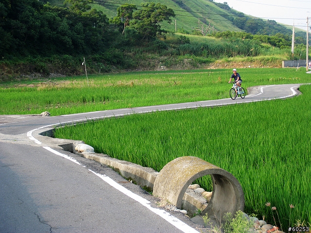 台中縣 清水鎮 五福圳自行車道