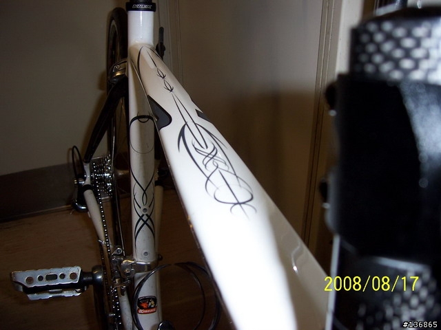 KINESIS KR-510 _複合車架私人測試