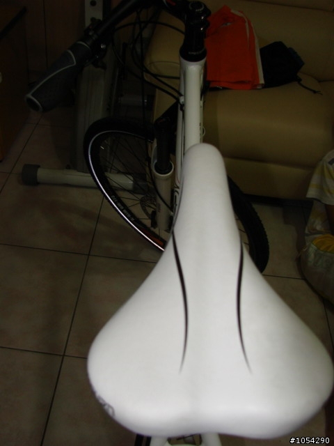 開箱文新車入手spinburn