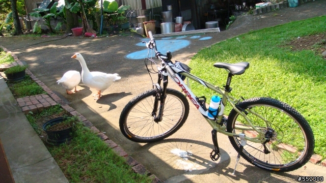 終於入手ORBEA SHERPA