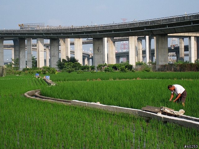 台中縣 清水鎮 五福圳自行車道
