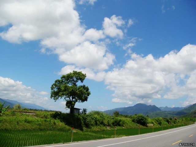 【環島遊記】DAY4 台東→花蓮