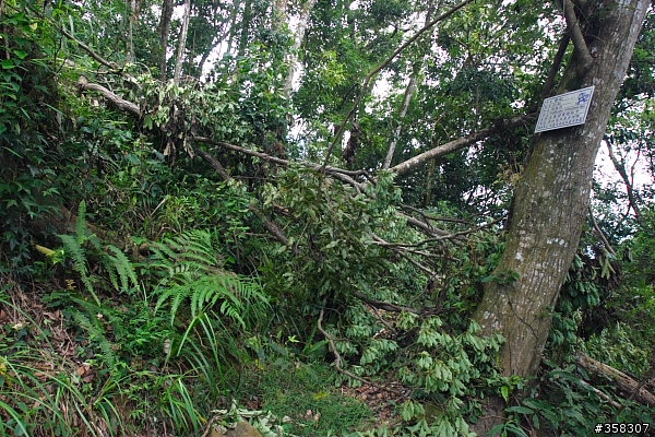 大橫屏山