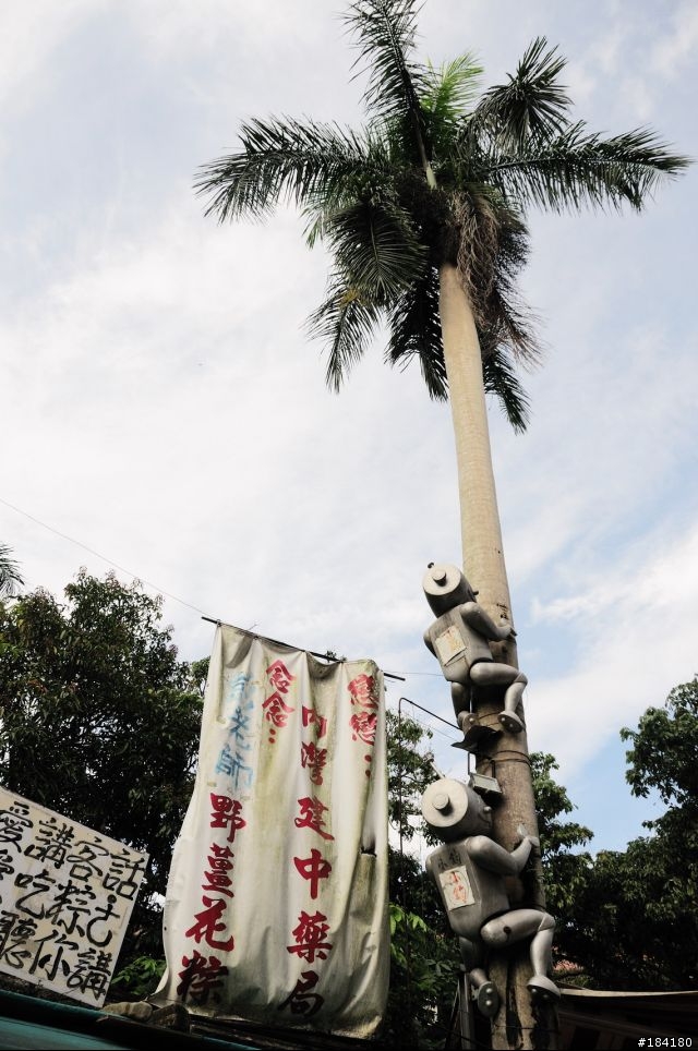 追逐台灣 環島全記錄
