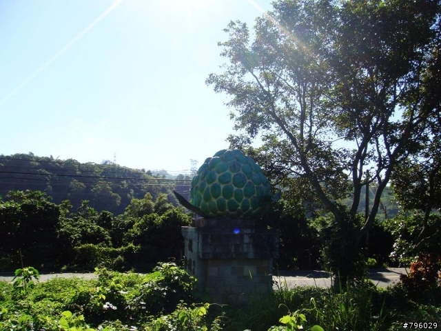 【環島遊記】DAY4 台東→花蓮