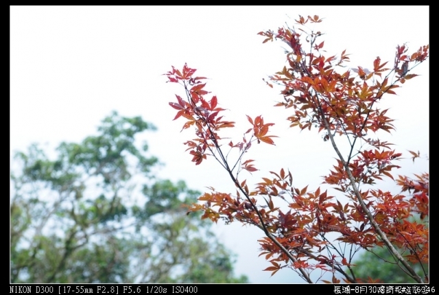 汗水雨水淚水 失戀環島陪騎團---到家...