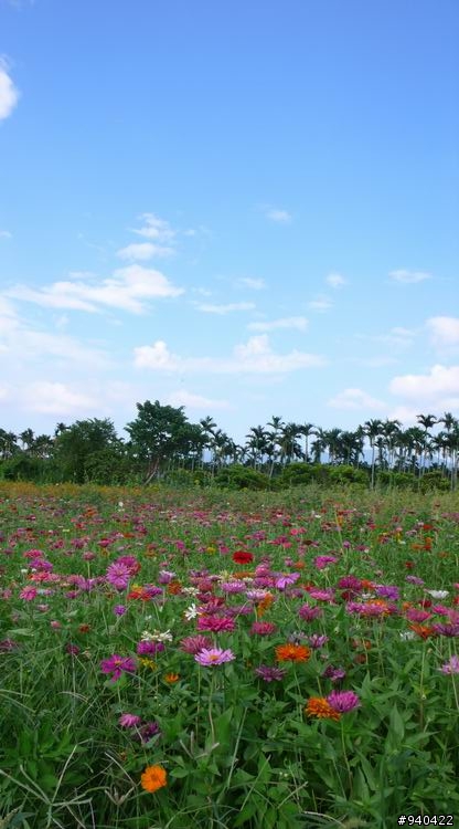 【分享】小弟和小MINI的9天環島! 7/15~7/26