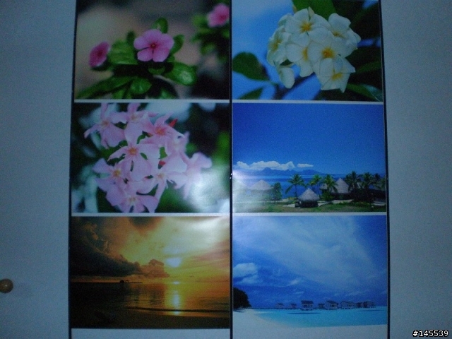 <苦水文之二> Canon-IP4500之連供更新版