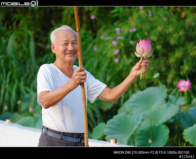 分享Tamron 70-200 F2.8 (For NIKON)的散景跟實拍