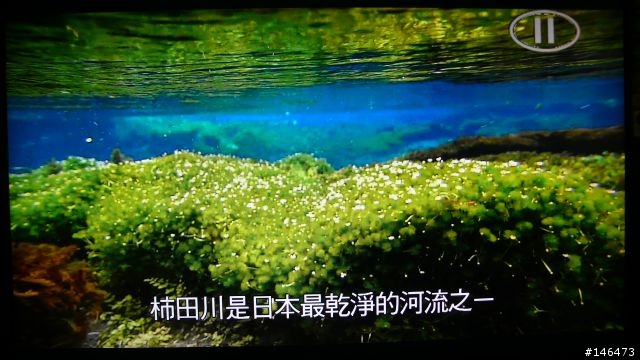 TN中的王者 ASUS MK241H使用心得 圖多
