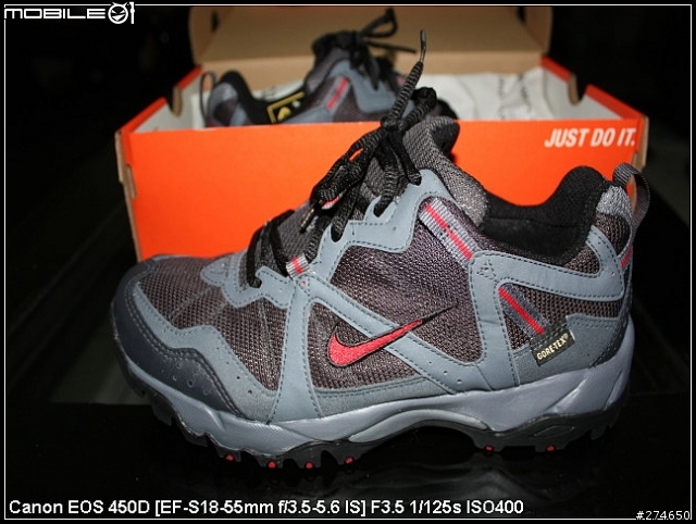 NIKE Gore-Tex 旅行鞋開箱文....
