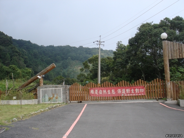 肉腳勇闖(藤枝+石山林道)4+2+4+2