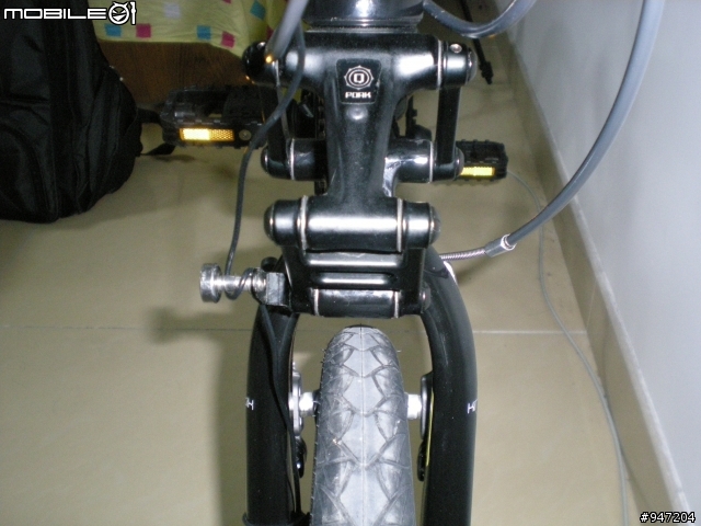 DAHON 大陸08版(外銷07版) JP8 Kinetix Q避震前叉問題