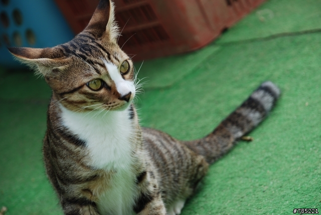 20080921 生平第一次上風櫃嘴! "嗯哉西哇"!