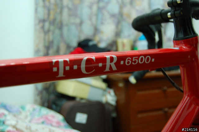 我的上海小情人 2008 TCR 6500