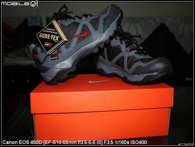 NIKE Gore-Tex 旅行鞋開箱文....