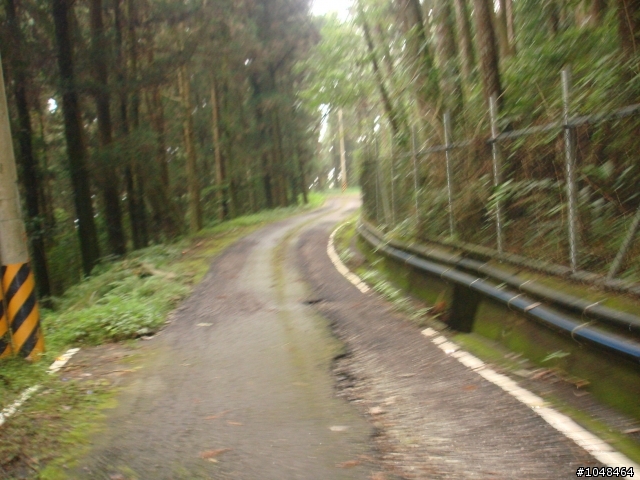 肉腳勇闖(藤枝+石山林道)4+2+4+2