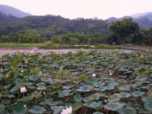 【路線分享】雙溪-->貢寮:台2丙+台38.40縣道 (鐵支路+河岸的悠遊路線)