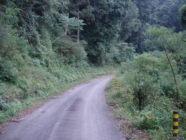 肉腳勇闖(藤枝+石山林道)4+2+4+2
