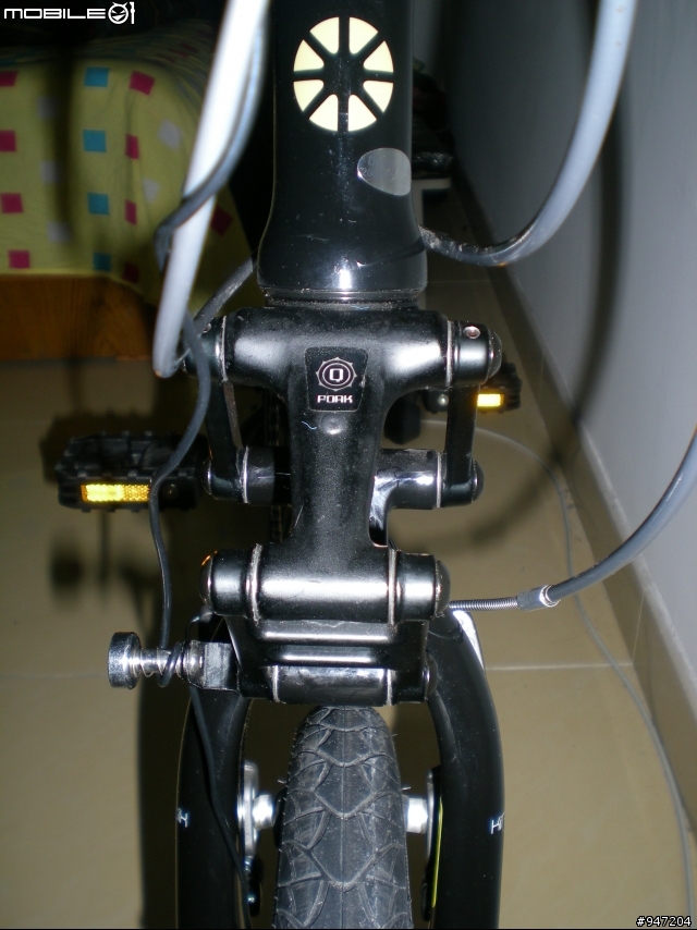 DAHON 大陸08版(外銷07版) JP8 Kinetix Q避震前叉問題