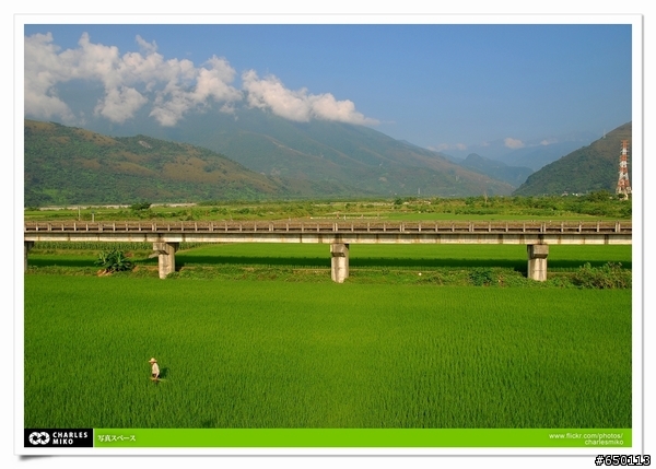 魂男孩之抓住夏天的尾巴-花東縱谷+海岸公路
