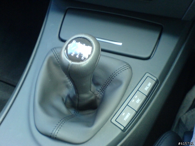 M POWER M3 M5 M6 (SAM的辛苦洗車紀錄-8)