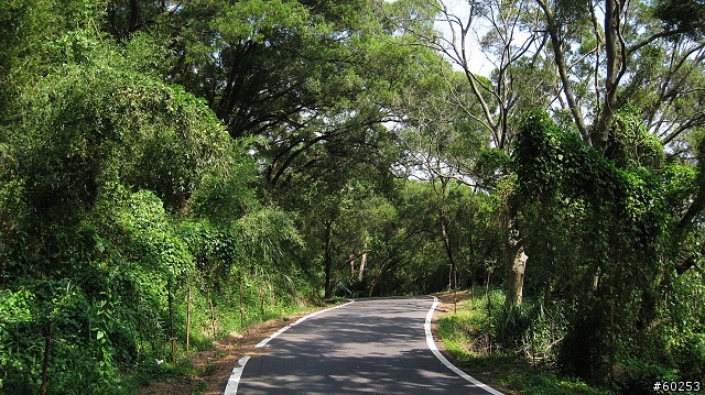 苗栗縣 永和山水庫
