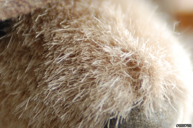 Tamron A001 for Nikon 實拍