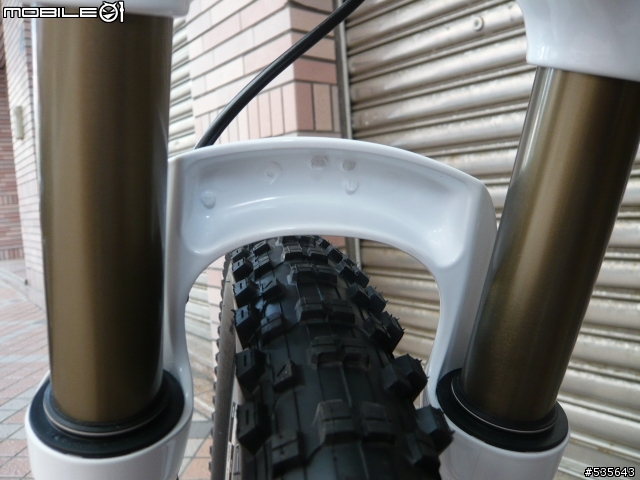 正09年 FOX F100 RLC 和 anthem 3 最終升級定裝照