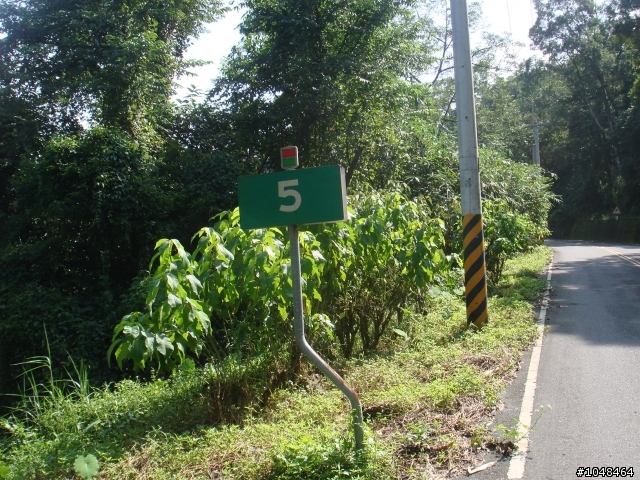 肉腳勇闖(藤枝+石山林道)4+2+4+2