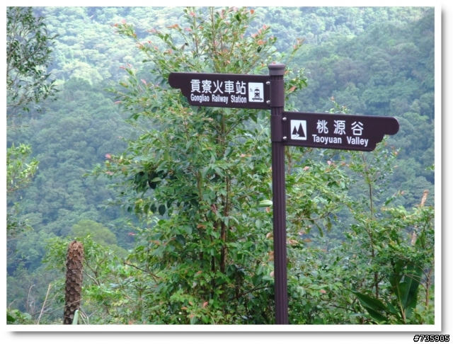桃源谷~草嶺古道..O型越嶺縱走