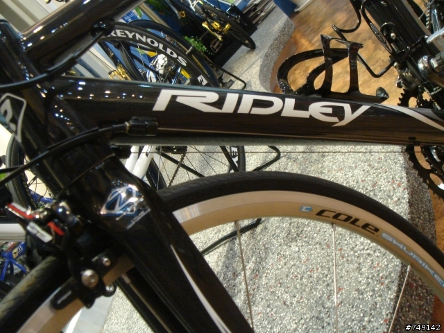 分享:低調的暗黑騎士Ridley