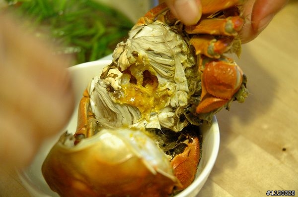 大閘蟹"開香聞"