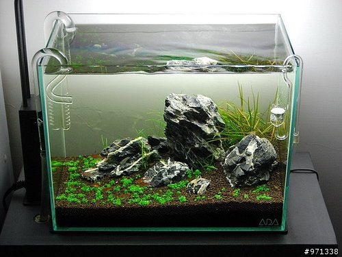 ☆Stone造景☆-ADA迷你細化器開箱文