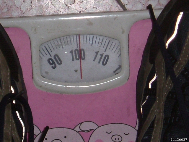 逢甲到彰中一日遊(有沒有88年的校友)
