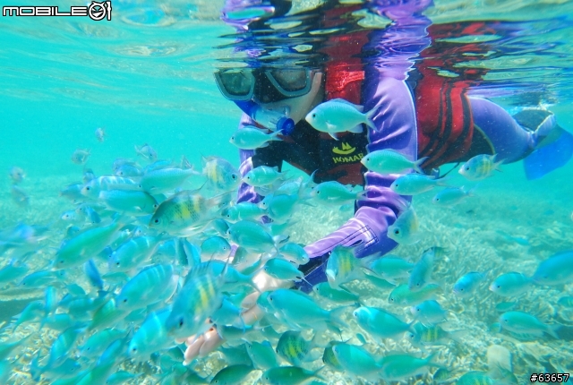 我與 DSLR 潛水套之帛琉旅遊