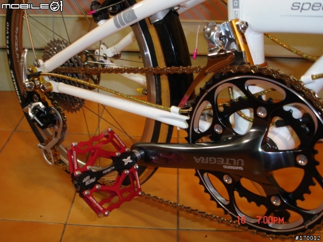 DAHON SP18 **101% Complete**