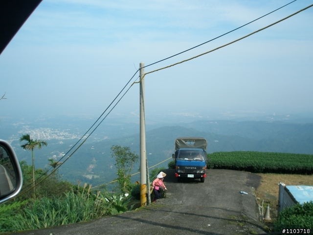 山中單車道--阿里山瑞里風景區 ,與大家分享.