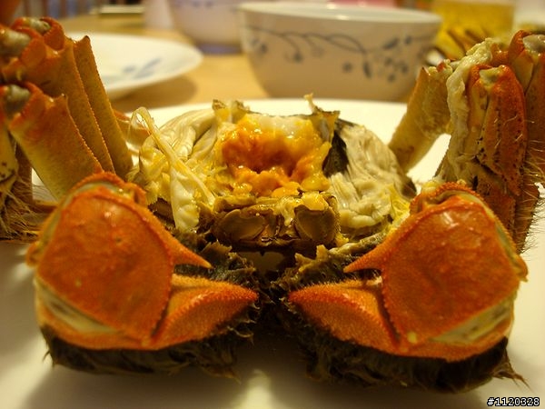 大閘蟹"開香聞"