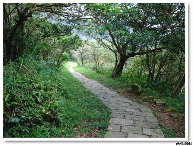 桃源谷~草嶺古道..O型越嶺縱走